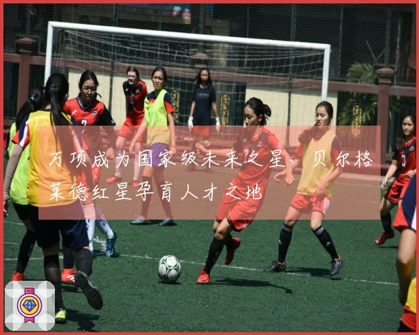 万项成为国家级未来之星，贝尔格莱德红星孕育人才之地